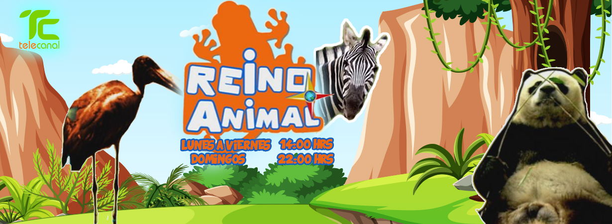 REINO-L-a-V-14-hrs-Dom-22hrs